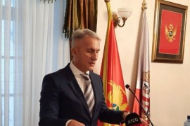 Šta piše u imovinskoj karti šefa crnogorske tajne službe