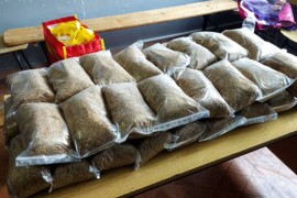 Krijumčario 350 kilograma duvana pa uhapšen