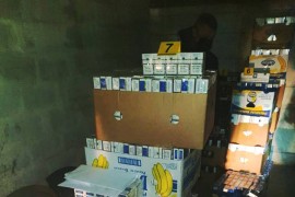 Zaplijenjene cigarete vrijedne više od 78.000 KM