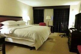 Veliki gubitak za bečke hotelijere