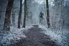 Meteorolozi objavili vremensku prognozu do 9. februara