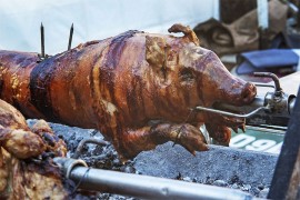 Pekli svinje u podrumu: Komšija zvao policiju, vatrogasci izvukli ...