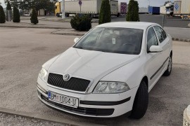 Vozi automobil sa ustaškim simbolima
