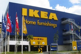 Ikea kupila 11.000 hektara šume u američkoj državi