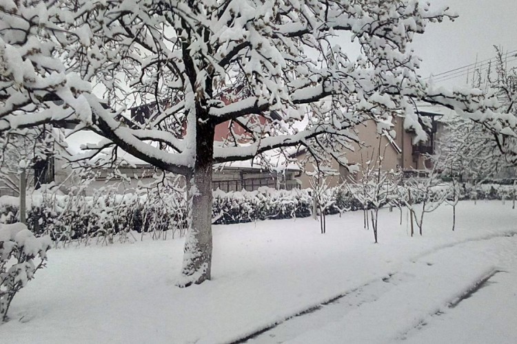Žuti meteoalarm u BiH zbog hladnoće i snijega