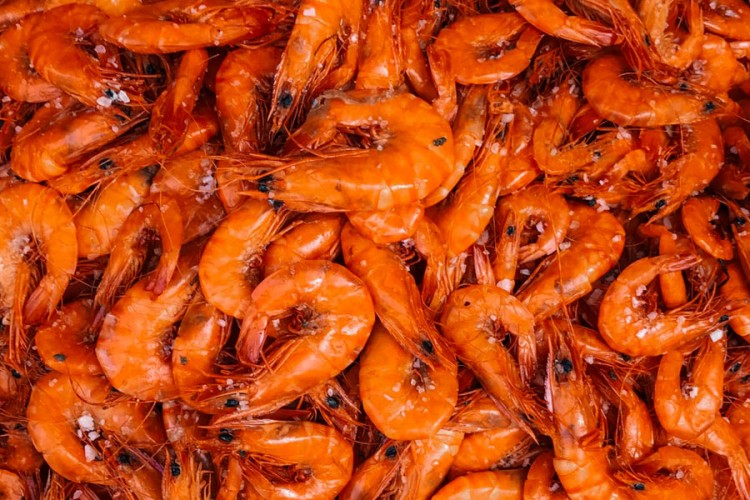Gambori: Morska delicija izuzetne nutritivne vrijednosti