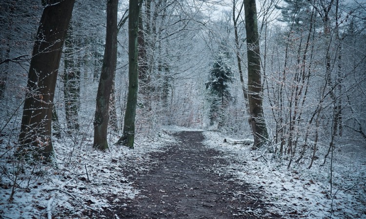 Meteorolozi objavili vremensku prognozu do 9. februara