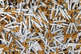 Zaplijenjeno 23.000 kutija cigareta