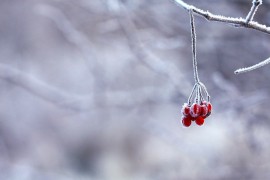 Kakvo nas vrijeme očekuje u nastavku februara?