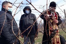 NUBL otvara novi studijski program enologija i vinogradarstvo