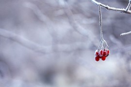 Kada nas očekuje rast temperatura?