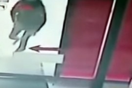 Objavljen uznemirujući snimak ubistva migranta kod Tešnja