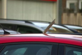 Metalni dijelovi aviona padali po selu