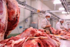 BiH korak bliže odobravanju izvoza crvenog mesa u EU