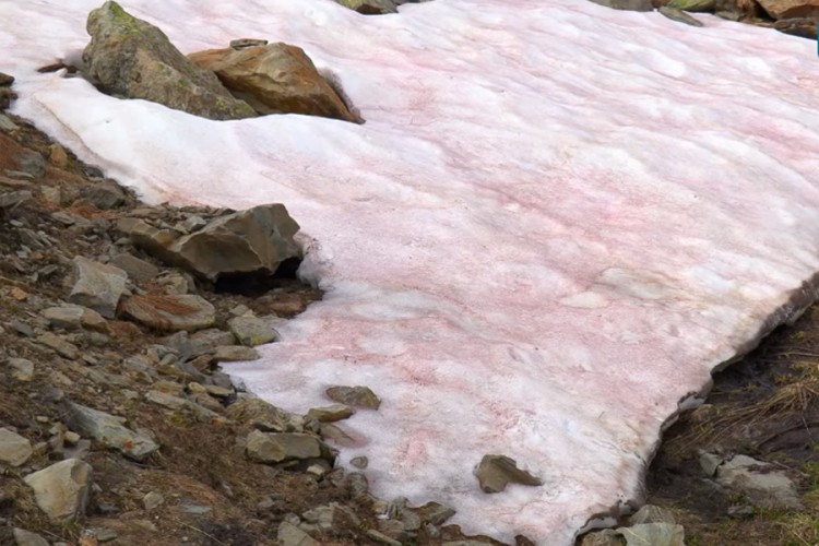 Upozorenje meteorologa u Njemačkoj: Moguć krvavi snijeg