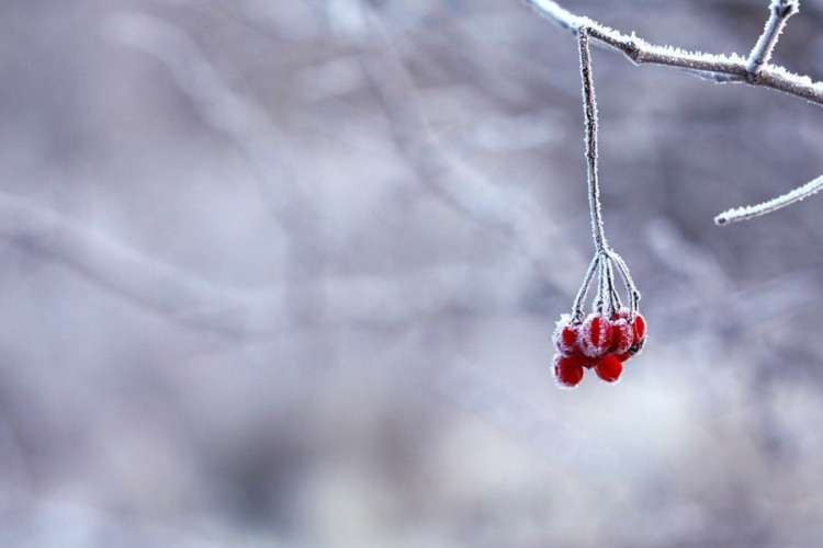 Kakvo nas vrijeme očekuje u nastavku februara?