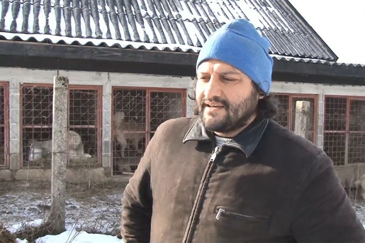 Mladen Šantić podno Plješevice uzgaja šarplanince