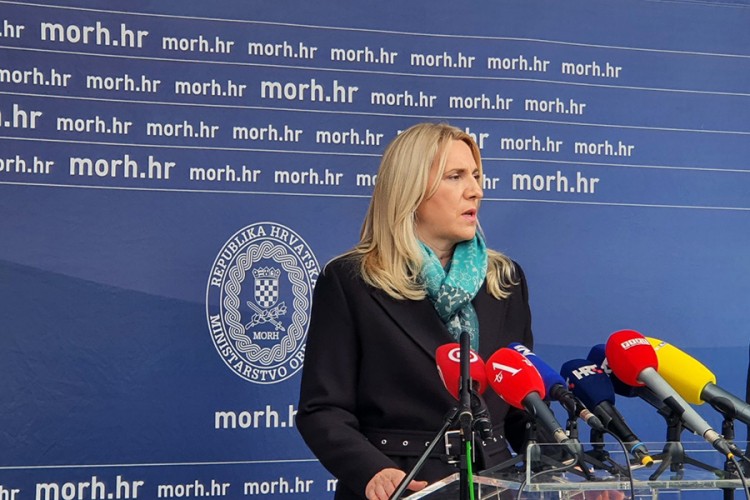 Cvijanović: Pogođeni zemljotresom mogu računati na pomoć institucija RS