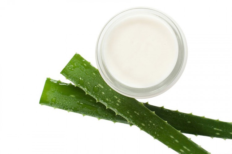 Aloe vera, saveznik lijepe i zdrave kože