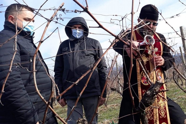 NUBL otvara novi studijski program enologija i vinogradarstvo