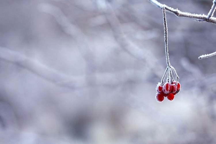 Kada nas očekuje rast temperatura?