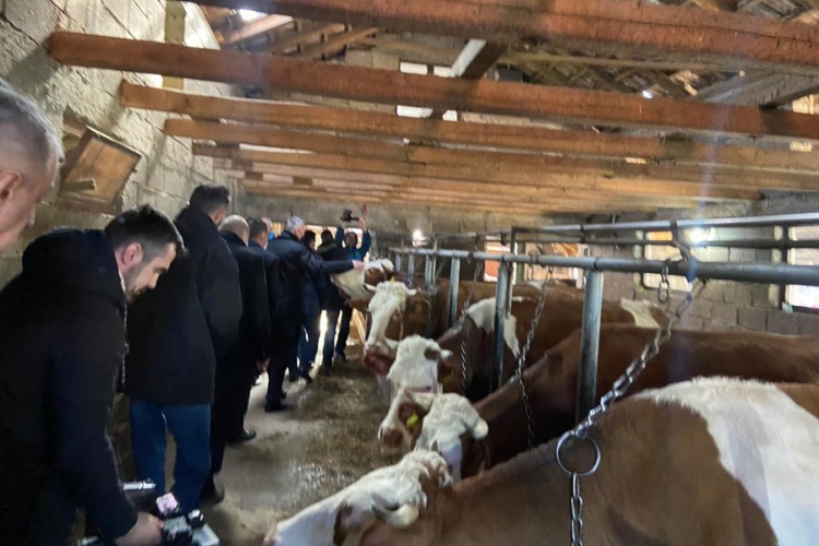 Vrijednim radom od jednog teleta do respektabilne farme