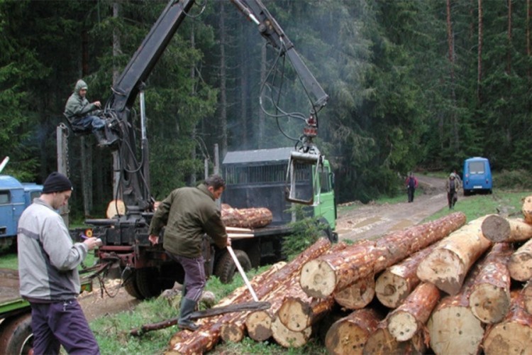 Otkup i prodaja poljoprivrede, šumarstva i ribarstva 137 miliona KM