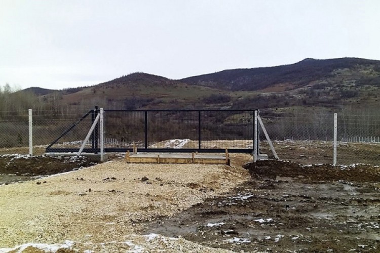 Na groblju kućnih ljubimaca za godinu sahranjeni samo papagaj i mačka