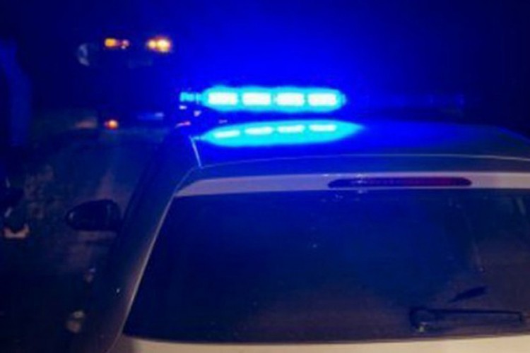 Bježao od patrole pa udario u policijski auto