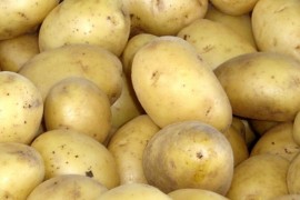 U RS zabranjen uvoz 63 tone krompira iz Poljske