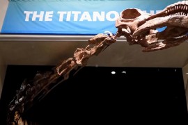 Otkriven fosil najstarijeg dinosaurusa