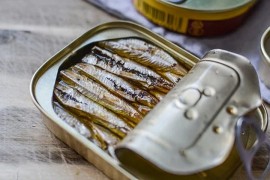 Vic dana: Koliko ima kosti