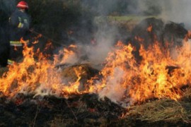Požar na njivi zahvatio nomadski šator, dvije osobe povrijeđene
