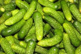 Zabranjen uvoz krastavaca iz Albanije