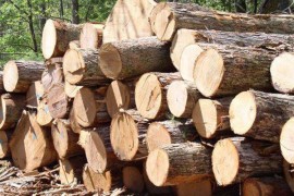 Potražnja za proizvodima drvoprerađivača smanjena i do 40 odsto
