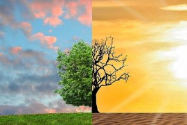 Srbija među prvima u regionu usvojila Zakon o klimatskim promjenama