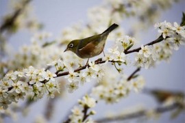 Kakvo vrijeme očekuje dijelove Evrope od aprila