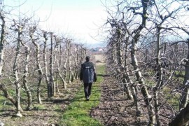 Stočarstvo, povrtarstvo i voćarstvo strateški sektori razvoja