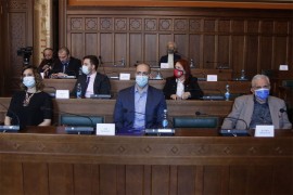 Ademović predsjedavajući Gradskog vijeća Sarajevo, Srdić odustao