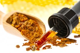 Kilogram propolisa sa 120 skočio na 200 KM