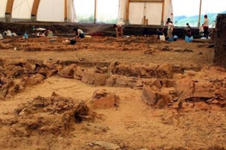 Tim mađarskog palaentologa otkrio ostatke dinosaurusa u Transilvaniji