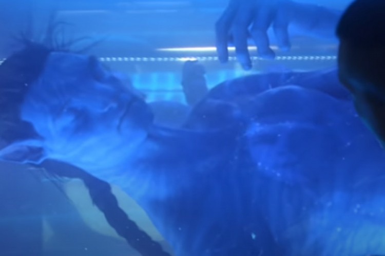 "Avatar" je ponovo film sa najvećom zaradom na svijetu