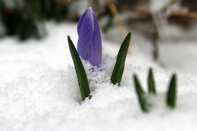Sigurno ste čuli za ovaj izraz: Da li znate ko je bila baba Marta?