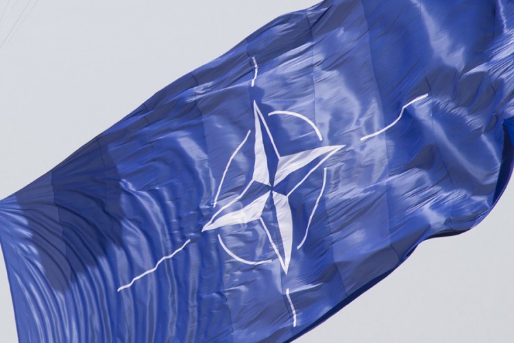 Šehovac: Srbija i Srpska moraju tužiti NATO