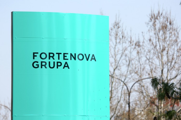 Na Fortenovu grupu preneseno 18,53 odsto dionica Mercatora