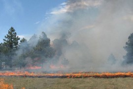Muškarac povrijeđen od eksplozije pri paljenju korova