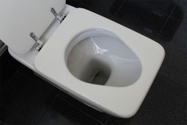 Zašto je nekim muškarcima WC omiljena prostorija
