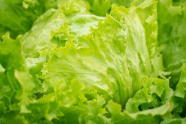 Kupio salatu u supermarketu, iskočila mu zmija
