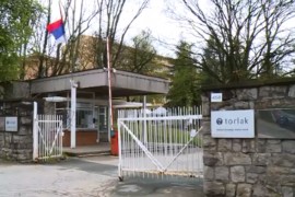 "Torlak" će proizvoditi i četvorovalentnu vakcinu protiv gripa