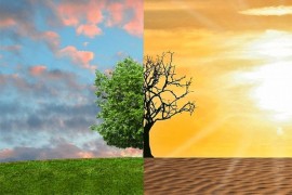 Potreban zajednički rad u borbi protiv klimatske krize
